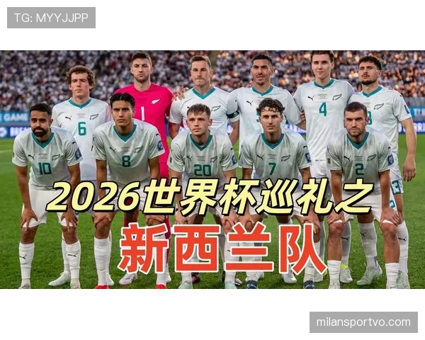 新西兰世界杯胜率预测